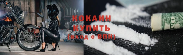 крисы Аркадак