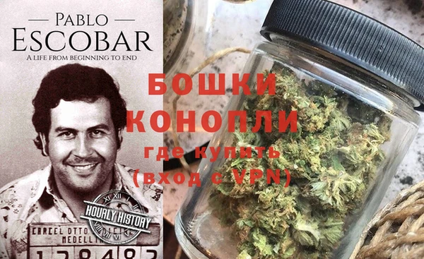 крисы Аркадак