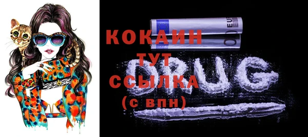 крисы Аркадак