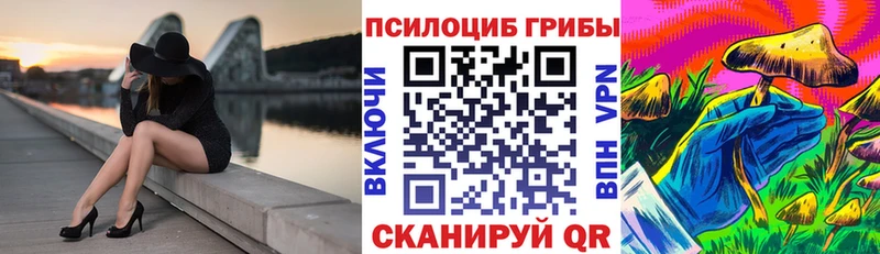 Псилоцибиновые грибы GOLDEN TEACHER  Шагонар 